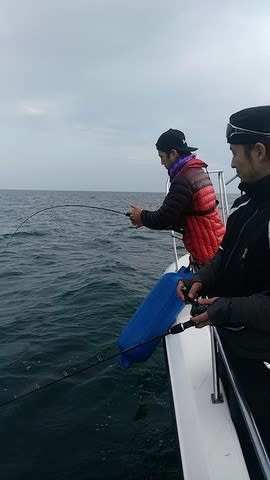 開進丸 釣果