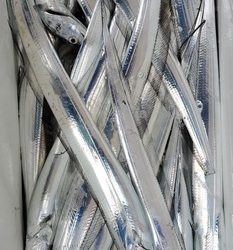 遊漁船 ニライカナイ 釣果