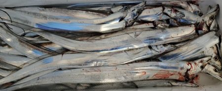 遊漁船　ニライカナイ 釣果