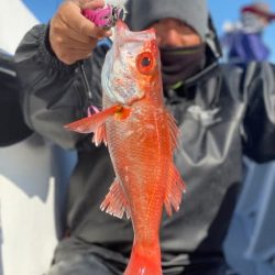 へいみつ丸 釣果