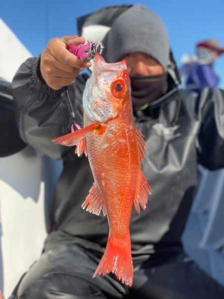 へいみつ丸 釣果