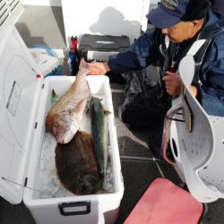 第二大福丸 釣果