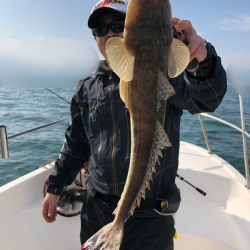 Magic(マジック) 釣果