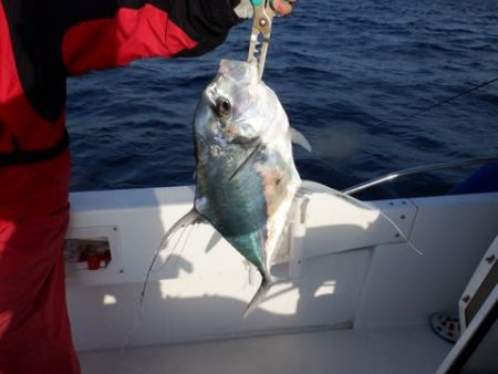 開進丸 釣果