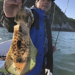 Magic(マジック) 釣果