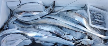 遊漁船　ニライカナイ 釣果