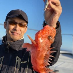 へいみつ丸 釣果