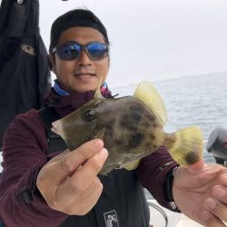 Magic（マジック） 釣果