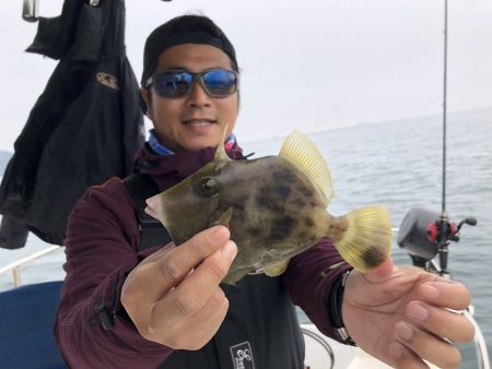 Magic（マジック） 釣果