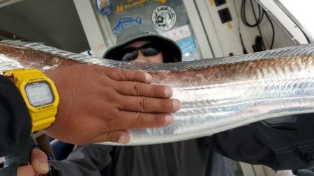 遊漁船 ニライカナイ 釣果