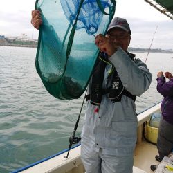 たかみ丸 釣果