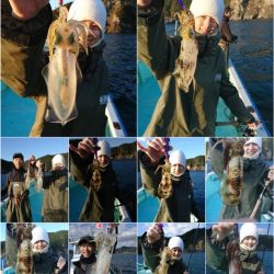 シードリーム 釣果