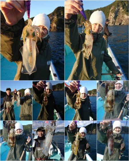 シードリーム 釣果