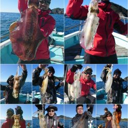 シードリーム 釣果