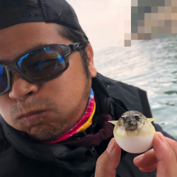 Magic（マジック） 釣果