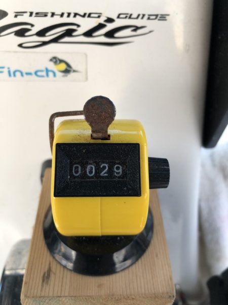 Magic(マジック) 釣果