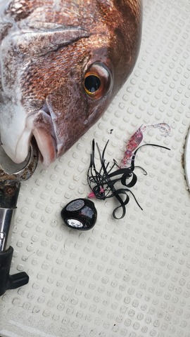 遊漁船 ニライカナイ 釣果