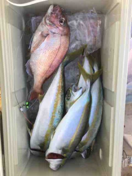 龍宮丸 釣果