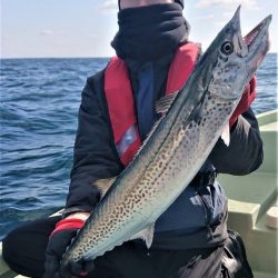 気仙沼　つり丸 釣果