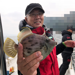 Magic（マジック） 釣果