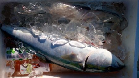 弘福丸 釣果