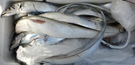 遊漁船 ニライカナイ 釣果