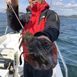 Magic（マジック） 釣果