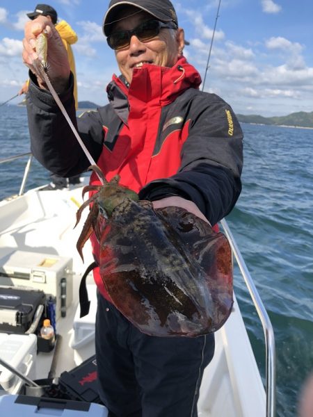 Magic（マジック） 釣果