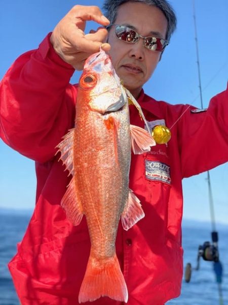 へいみつ丸 釣果