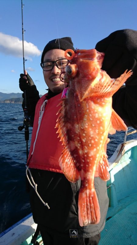 シードリーム 釣果