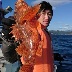 シードリーム 釣果