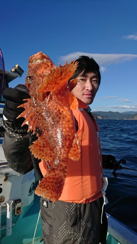 シードリーム 釣果