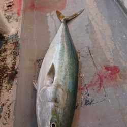 魁皇 釣果