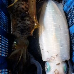 小海途 釣果