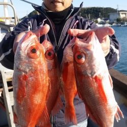 小海途 釣果