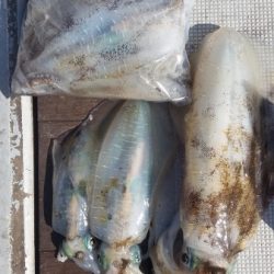 小海途 釣果