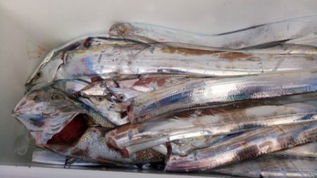弘福丸 釣果