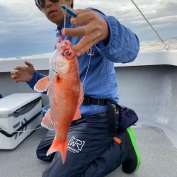 へいみつ丸 釣果