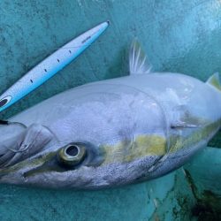 広進丸 釣果