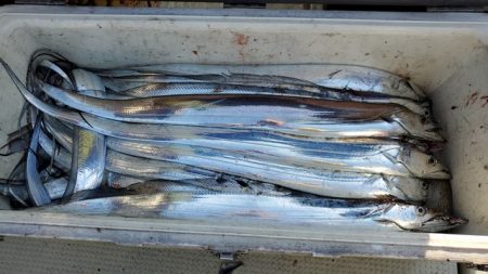 遊漁船　ニライカナイ 釣果