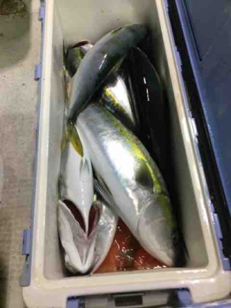 龍宮丸 釣果