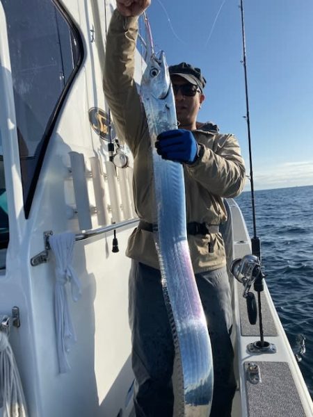 へいみつ丸 釣果