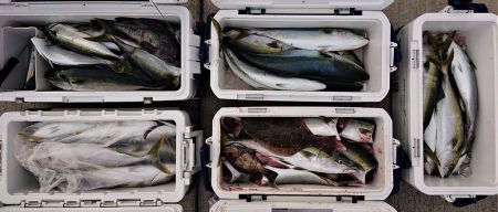 気仙沼　つり丸 釣果