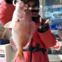 遊漁船 ニライカナイ 釣果