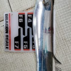 遊漁船 ニライカナイ 釣果