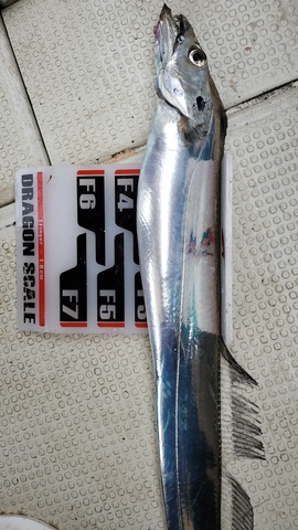 遊漁船 ニライカナイ 釣果