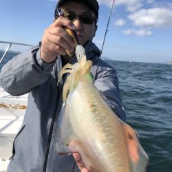 Magic(マジック) 釣果