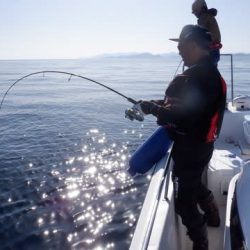 開進丸 釣果