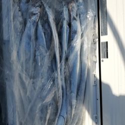 遊漁船 ニライカナイ 釣果