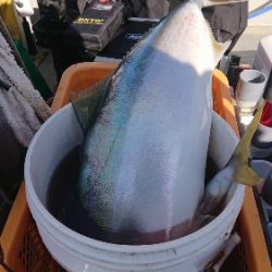 IDATEN(イダテン) 釣果